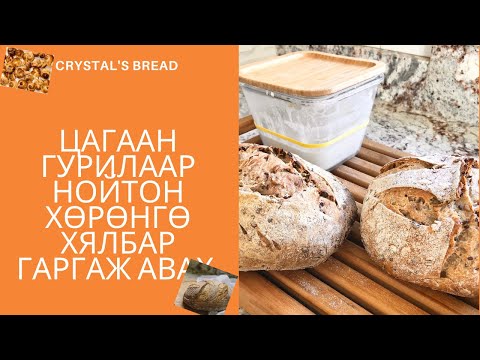 Видео: Цагаан Гурилын Нойтон Хөрөнгө Хялбар гаргаж авах