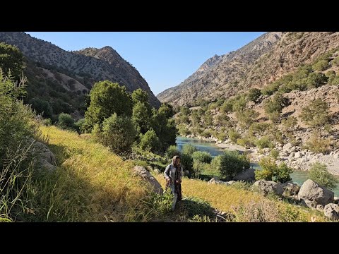 Видео: Кочевая жизнь: история о заблудившейся овце в диких горах Загрос | Девушки-кочевницы в опасности
