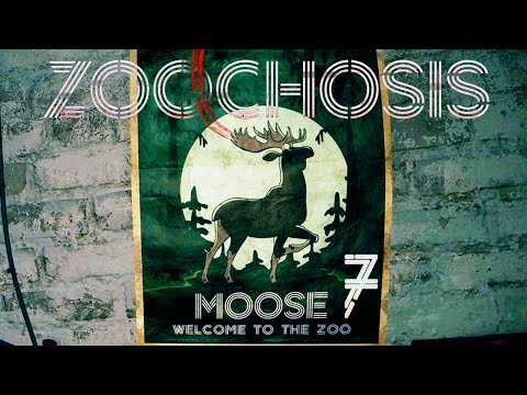 Видео: ЛОСЬ -  ГИПНОТИЗЕР? и ...  🦌 Zoochosis #7