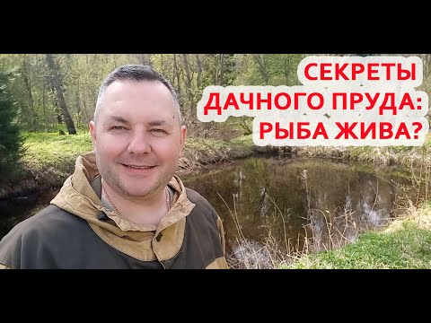 Видео: Часть 1. Дачный пруд: пережила ли зиму рыба?
