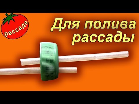 Видео: УДОБНАЯ ПОЛИВАЛКА ЗА 2 МИНУТЫ (полив рассады и цветов)