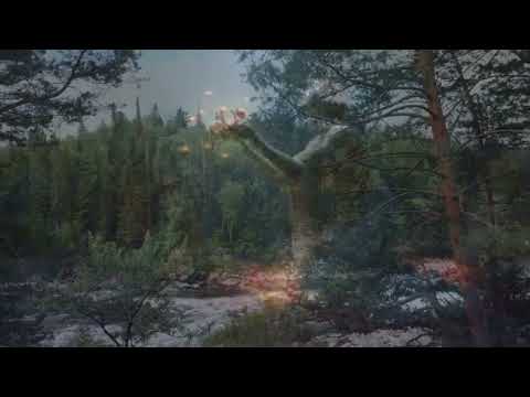 Видео: Мать Земля #природа #мой_друг_виссарион #