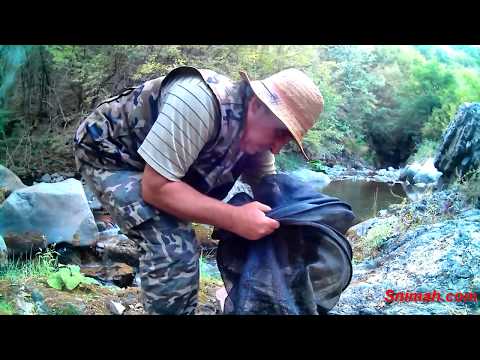 Видео: За мряна по река Габровница - август 2017