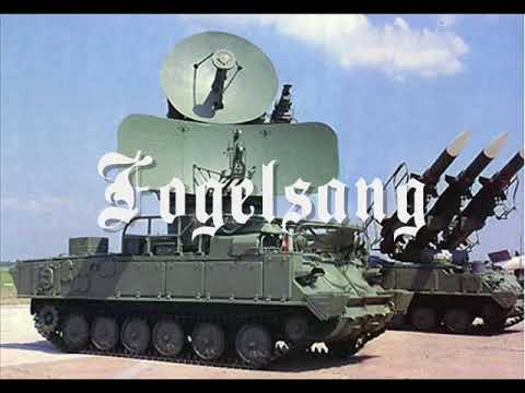 Видео: Памяти армейских лет посвящается. ГСВГ