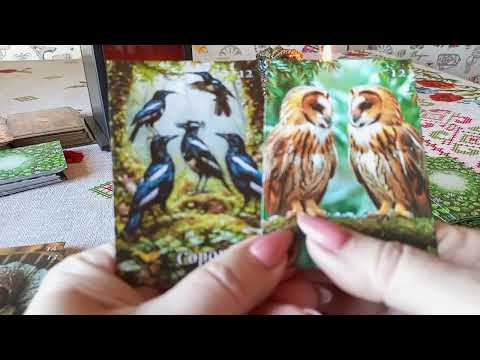 Видео: Обзор моей авторской  колоды "  Встречи у камина '