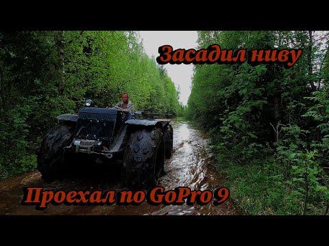 Видео: На каракате по болоту. Ищу место для летнего копа металла.#18