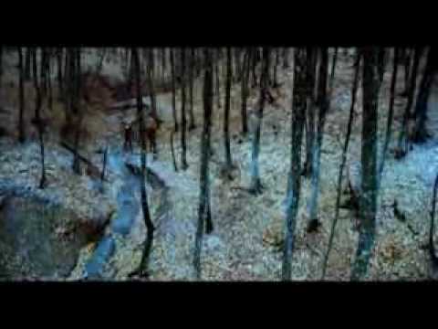 Видео: Друг - Обитаемый остров