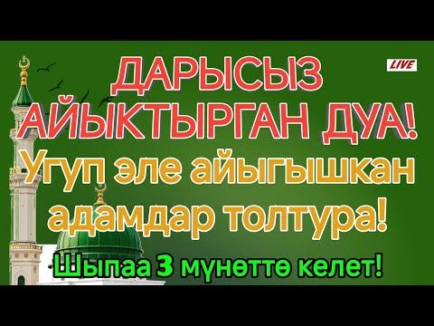 Видео: ДАРЫСЫЗ АЙЫКТЫРГАН ДУА!🤲