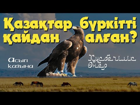 Видео: Бүркітті қалай баптайды \ Асыл қазына \ Беркут