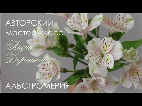 Видео: Мастер класс альстромерия