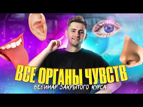 Видео: ВСЕ ОРГАНЫ ЧУВСТВ. Вебинар закрытого курса | ОГЭ по биологии | Федор Агеев