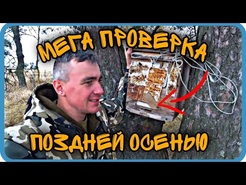 Видео: САМАЯ ПОЗДНЯЯ ПРОВЕРКА ЛОВУШЕК 2023.ВСЕ ЛОВУШКИ В ОДНОМ ВИДЕО.СТРАННО,НО ЧТО ТО ЕСТЬ.