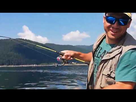 Видео: Кадри от Доспат 2019