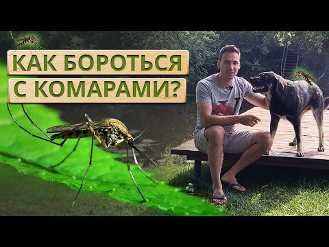 Видео: Как избавиться от комаров на участке? Обработка участка от комаров