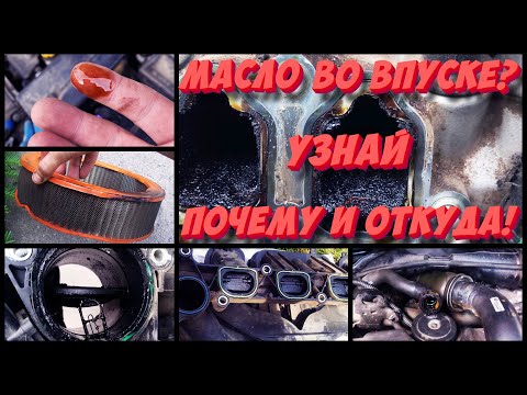 Видео: Масло во впускном коллекторе? Узнай почему и откуда масло во впуске!