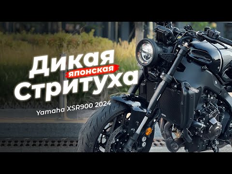 Видео: YAMAHA XSR900 2024 – это DUCATI по цене японца