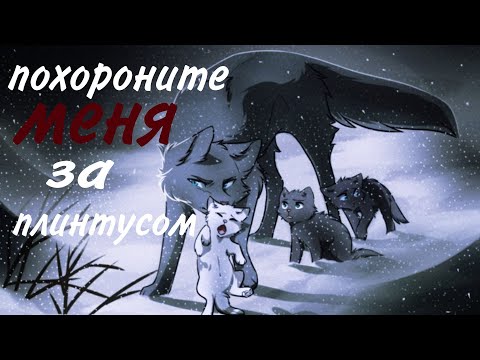 Видео: Коты воители: Синяя звезда "Похороните меня за плинтусом" клип