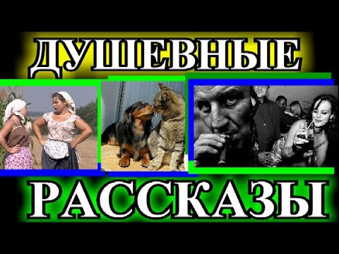 Видео: ДУШЕВНЫЕ РАССКАЗЫ❤️МОЯ ТАЙНА❤️ЗАПАХ ХРИЗАНТЕМ❤️ЧУЖАЯ ОНА НАМ❤️ДЕРЕВЯННАЯ ЛОЖКА@TEFI РАССКАЗЫ