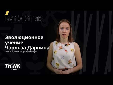 Видео: Эволюционное учение Чарльза  Дарвина. Синтетическая теория эволюции | Биология