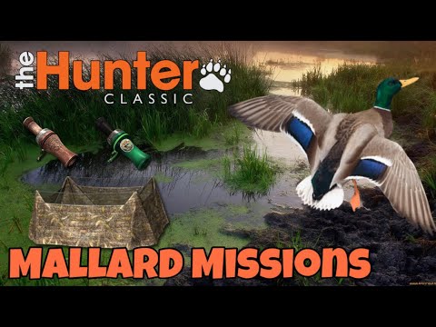 Видео: The Hunter classic Mallard Missions! КРЯКВА! выполняем миссий! Охота на уток!