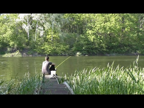 Видео: Рыбалка на фидер. Ловля леща весной 2025