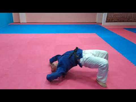 Видео: Учимся делать забегания и перекидку на борцовском мосту.