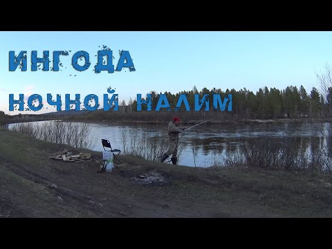 Видео: ОТКРЫТИЕ ЛЕТНЕГО СЕЗОНА. НОЧНОЙ НАЛИМ НА РЕКЕ ИНГОДА