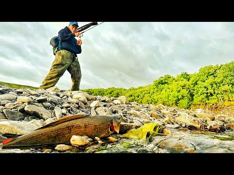 Видео: Я В ШОКЕ !! ЭТА ЯМА КИШИТ  КРУПНЯКОМ !!! ЛУЧШАЯ РЫБАЛКА СЕЗОНА !!!