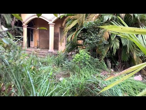 Видео: Трансформация Заросшего газона и сада - Уборка заброшенного Штормового Дома