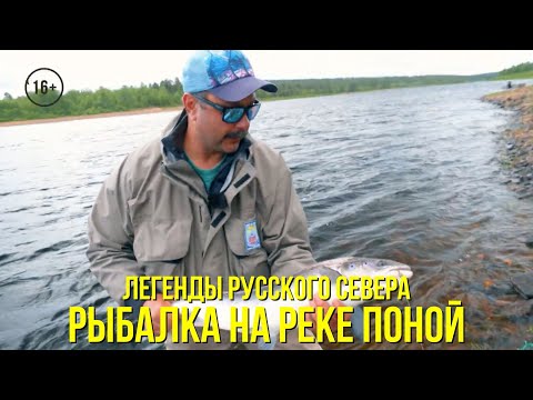 Видео: Рыбалка на реке Поной / Ловля семги и хариуса на разных пулах реки // ЛЕГЕНДЫ РУССКОГО СЕВЕРА