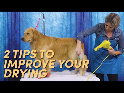 Видео: 2 БЕСПЛАТНЫХ СПОСОБА улучшить сушку