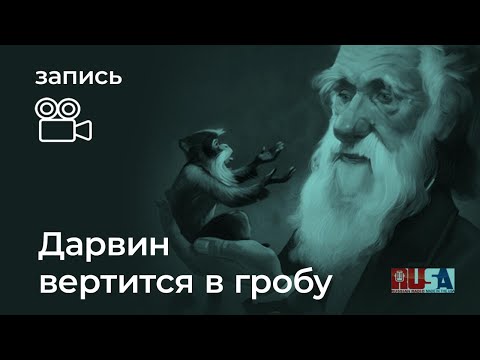 Видео: Александр Литвин: Дарвин вертится в гробу