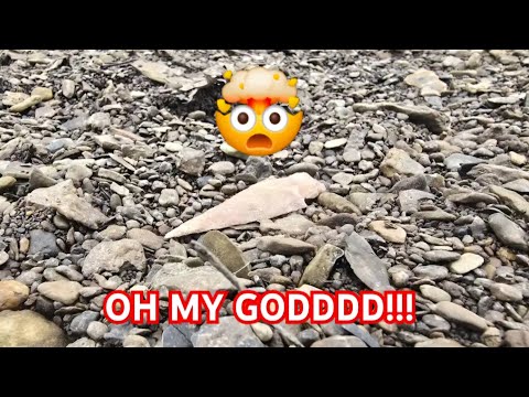 Видео: 3 наконечника стрел G-10 Smoker за одну охоту — Arrowhead Hunting Missouri