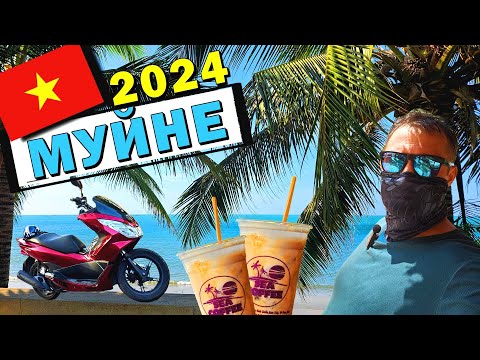 Видео: Муйне 2024. Соленый кофе, Пляж и Билеты за 300$. Lifestyle  #вьетнам2024 #муйне2024 #вьетнам #море