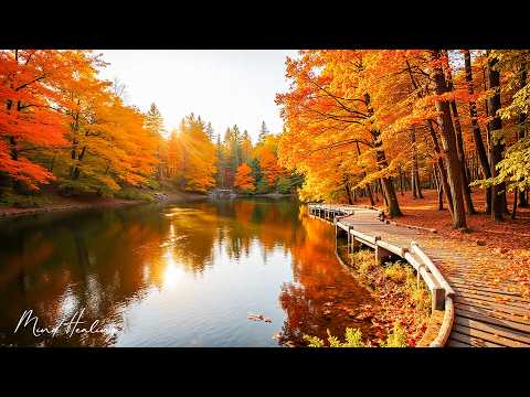 Видео: Красивая расслабляющая музыка 🍁 Успокаивающая осенняя музыка для снятия стресса, глубокая