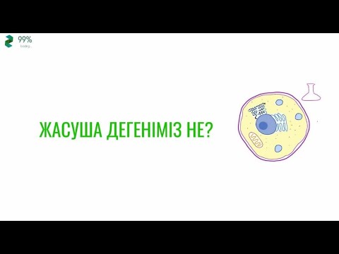 Видео: Жасуша дегеніміз не? Биология (қысқаша)| Что такое клетка?