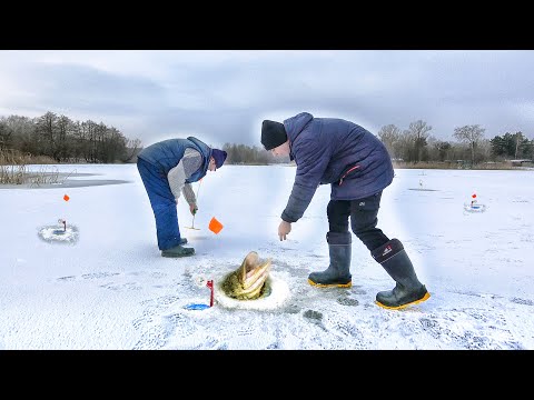 Видео: ПЕРВАЯ РЫБАЛКА на ЖЕРЛИЦЫ!!! ЩУКА на ЖЕРЛИЦЫ!!! КАК ЛОВИТЬ ЩУКА на ЖЕРЛИЦЫ