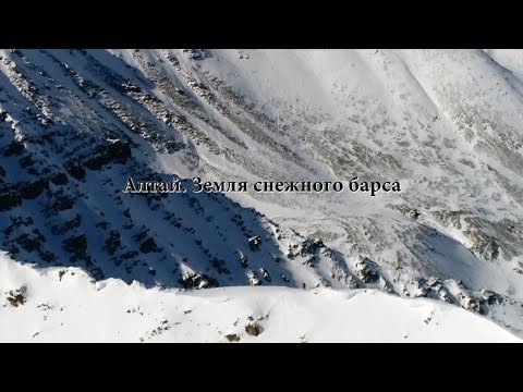 Видео: Алтай.  Земля снежного барса