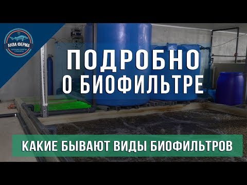 Видео: Подробно о биофильтре в УЗВ Аква Ферма