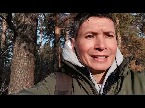 Видео: Как плыть по реке жизни без препятствий. Главный принцип даосизма, который понимаю не правильно.