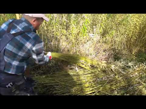 Видео: Резка и сортировка прута на ленту