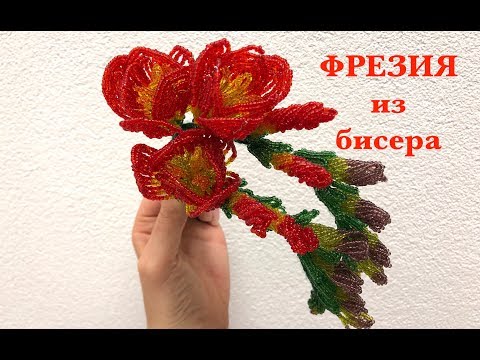 Видео: МК: ФРЕЗИЯ ИЗ БИСЕРА. ЦВЕТЫ ИЗ БИСЕРА ДЛЯ НАЧИНАЮЩИХ