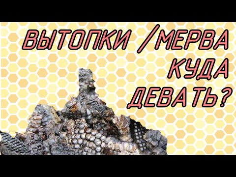 Видео: Новое применение вытопок/мервы от воскотопки. Инкубатор для восковой моли. ПЖДВМ. Добыча огневки