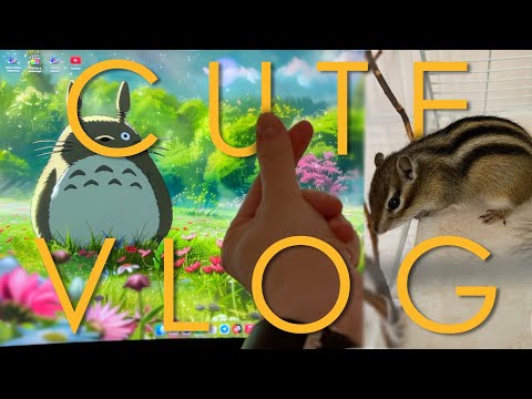 Видео: Cute VLOG #112🐿️|Спасение маленькой жизни🐹 |Шоппинг в Metro: цены🧾