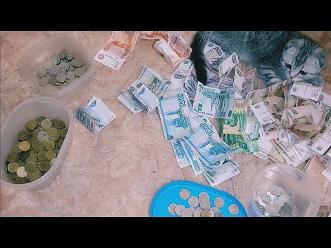 Видео: ✡ОТКРЫВАЮ КОПИЛКУ, СКОЛЬКО НАКОПИЛА ЗА ПОЛ ГОДА)✡