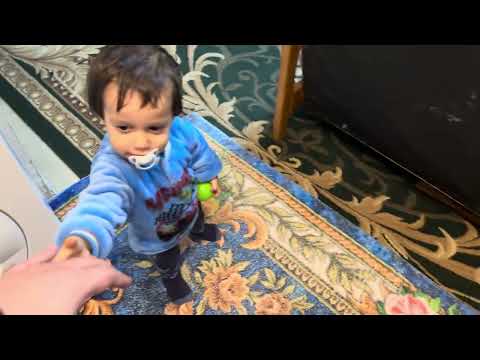 Видео: 14 октября 2025 г.