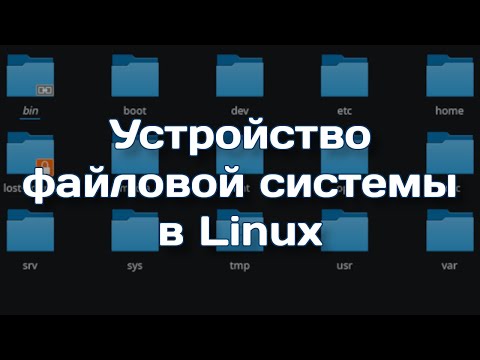 Видео: Структура файлов и каталогов в Linux