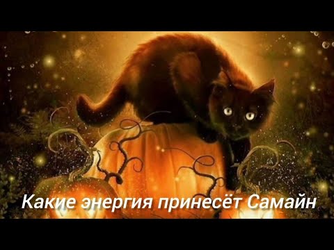 Видео: Какие энергии принесёт Самайн. Совет карт 