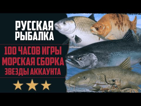 Видео: Новый Путь в РР4 #10 🔴 Подкрутка Трофейной Рыбалки | Фарм Морской Сборки | Прокачка Донки до ПВА