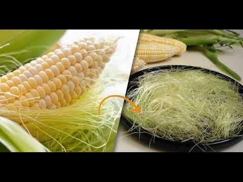Видео: КУКУРУЗНЫЕ РЫЛЬЦА. ПОЛЬЗА И ВРЕД. ПРИМЕНЕНИЕ КУКУРУЗНЫХ РЫЛЬЦЕВ